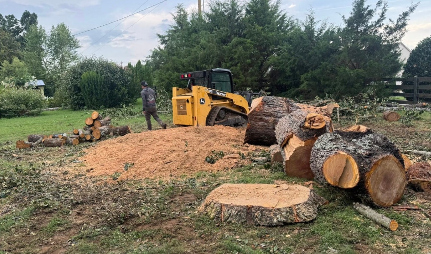 Stump Removal